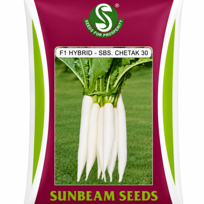 F1 Hybrid SBS Chetak 30 Radish Seeds