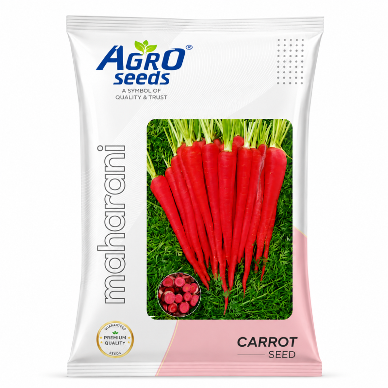 Maharani Carrot Seeds