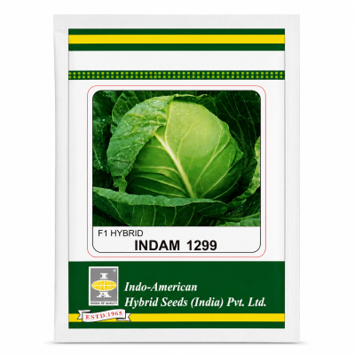 Hybrid Cabbage Seeds