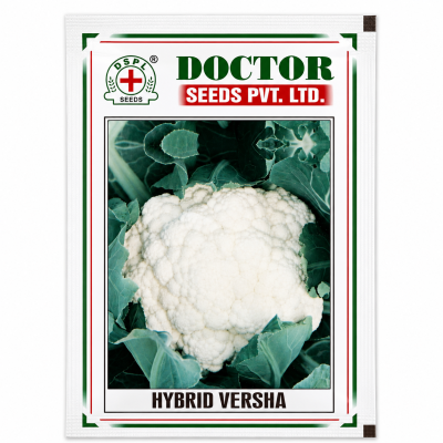 Hybrid Versha Cauliflower Seeds