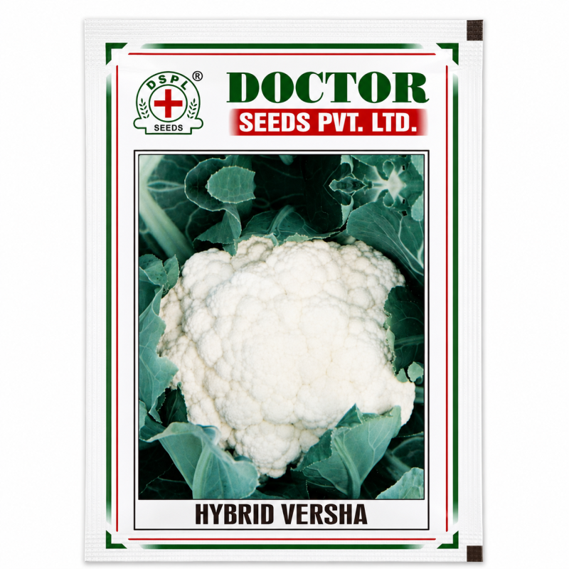 Hybrid Versha Cauliflower Seeds