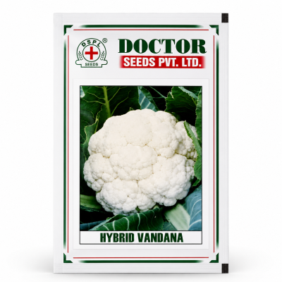 Hybrid Vandana Cauliflower Seeds
