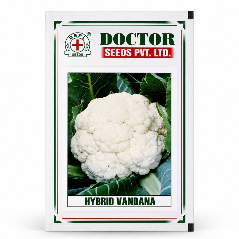 Hybrid Vandana Cauliflower Seeds