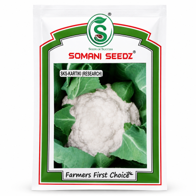 Somani Seedz SKS-Kartiki (Research) Cauliflower Seeds