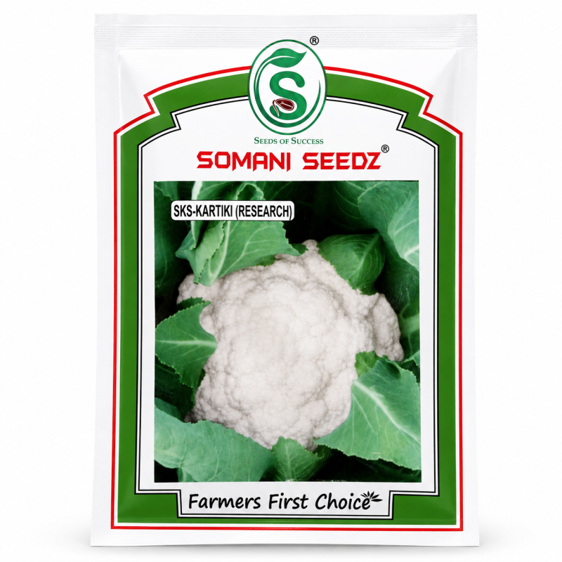 Somani Seedz SKS-Kartiki (Research) Cauliflower Seeds