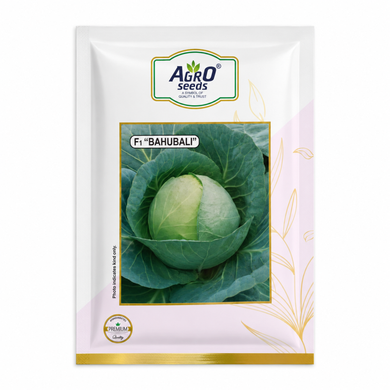 Agro Seeds F1 Bahubali Cabbage Seeds