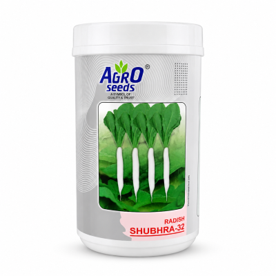 Agro Seeds Shubhra-32 Radish Seeds