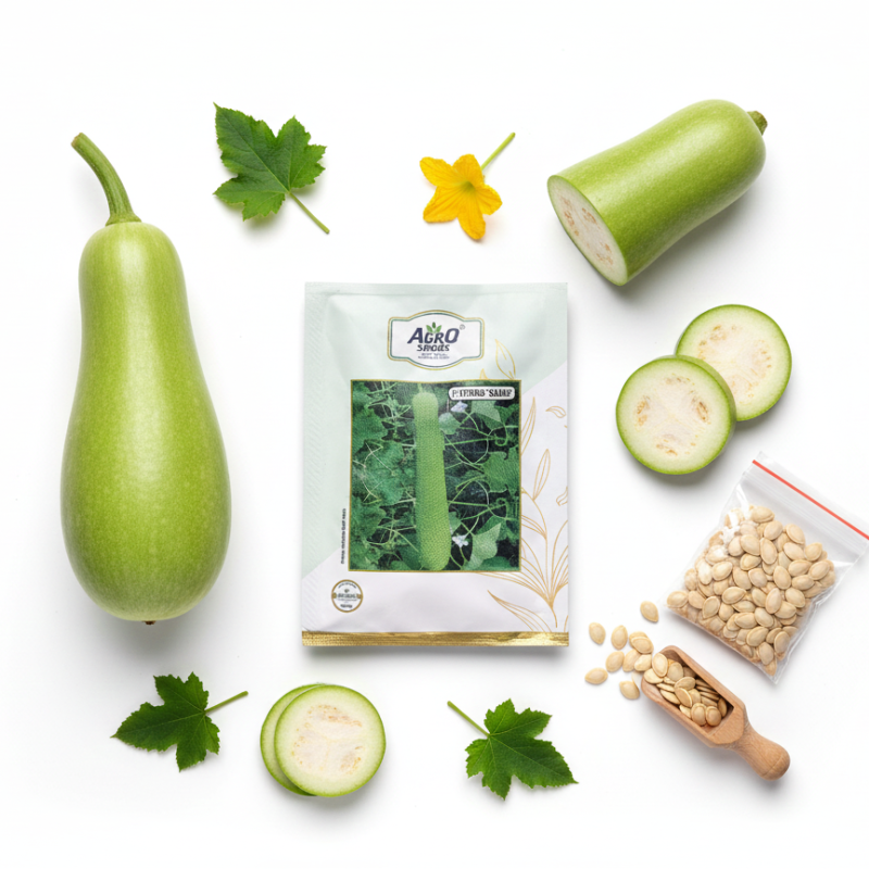 Bottle Gourd "F1 Hybrid 'Bahar "