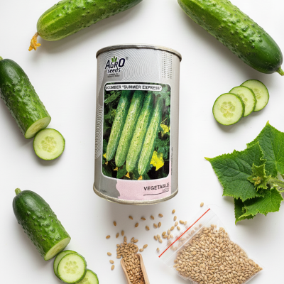 CUCUMBER "SUMMER EXPRESS"