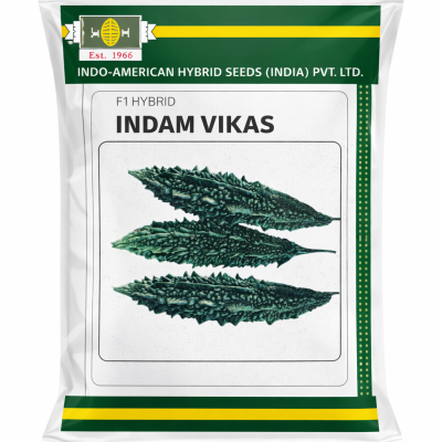 INDAM VIKAS – F1 Hybrid Bitter Gourd
