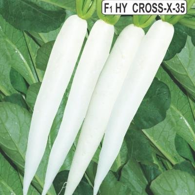 F1 HY CROSS-X-35