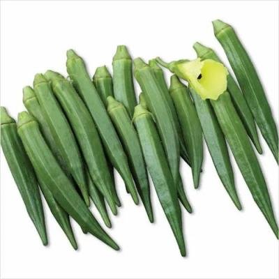 Bhindi Green Gold