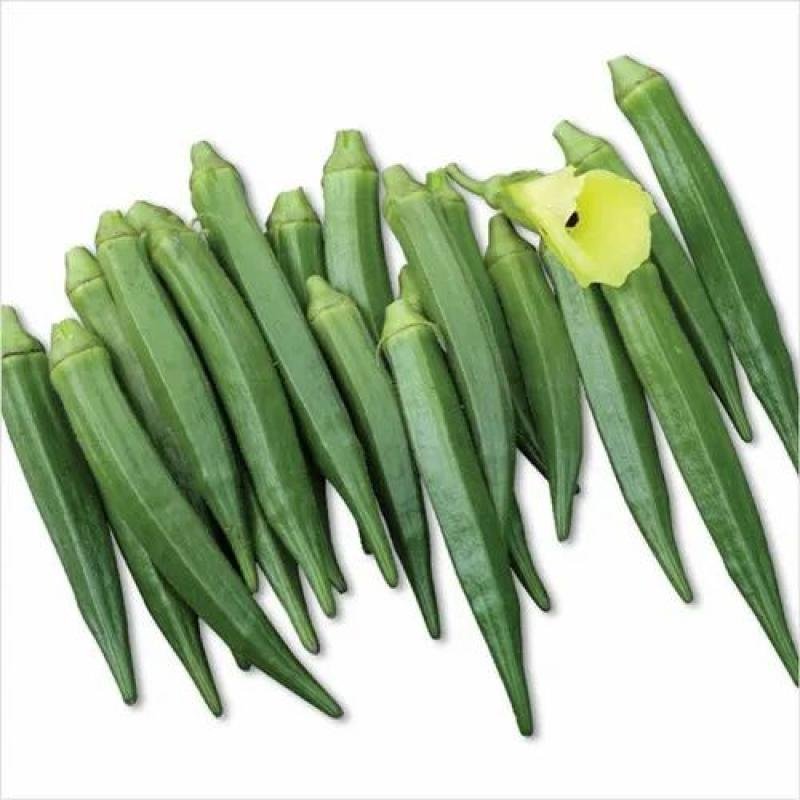 Bhindi Green Gold