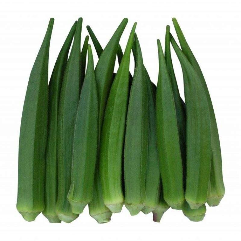 BHINDI - SBS. HARIT (RES)