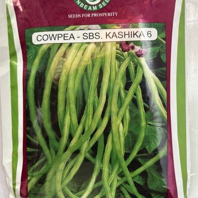 COWPEA - SBS. KASHIKA 6