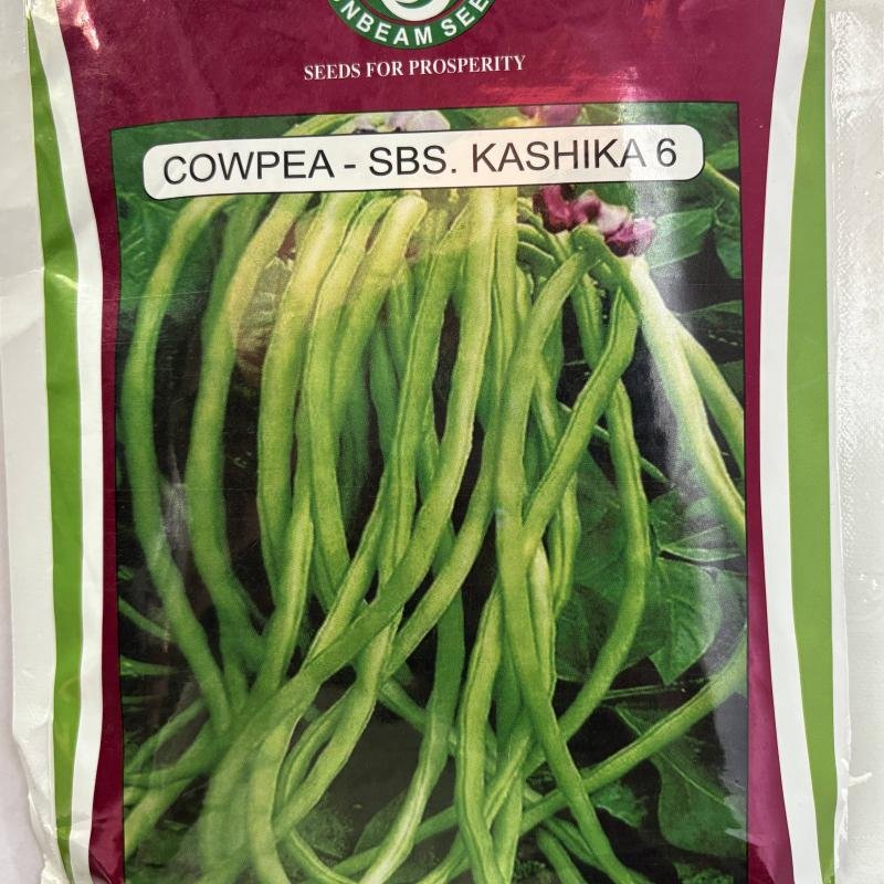 COWPEA - SBS. KASHIKA 6
