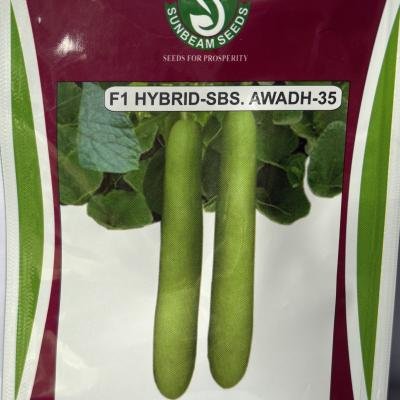 F1 HYBRID - SBS. AWADH-35