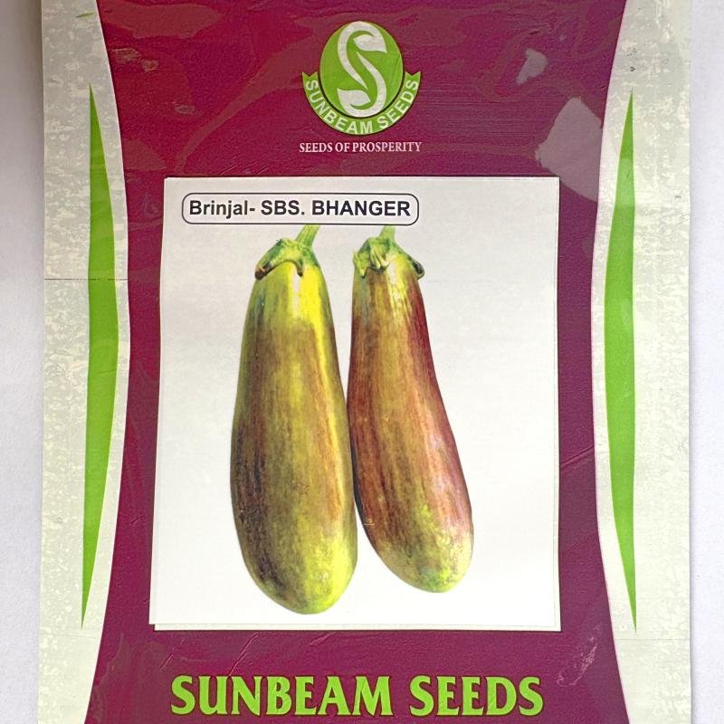 BRINJAL- SBS. BHANGER