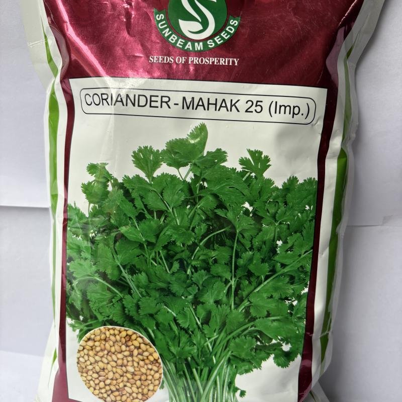 CORIANDER - MAHAK 25