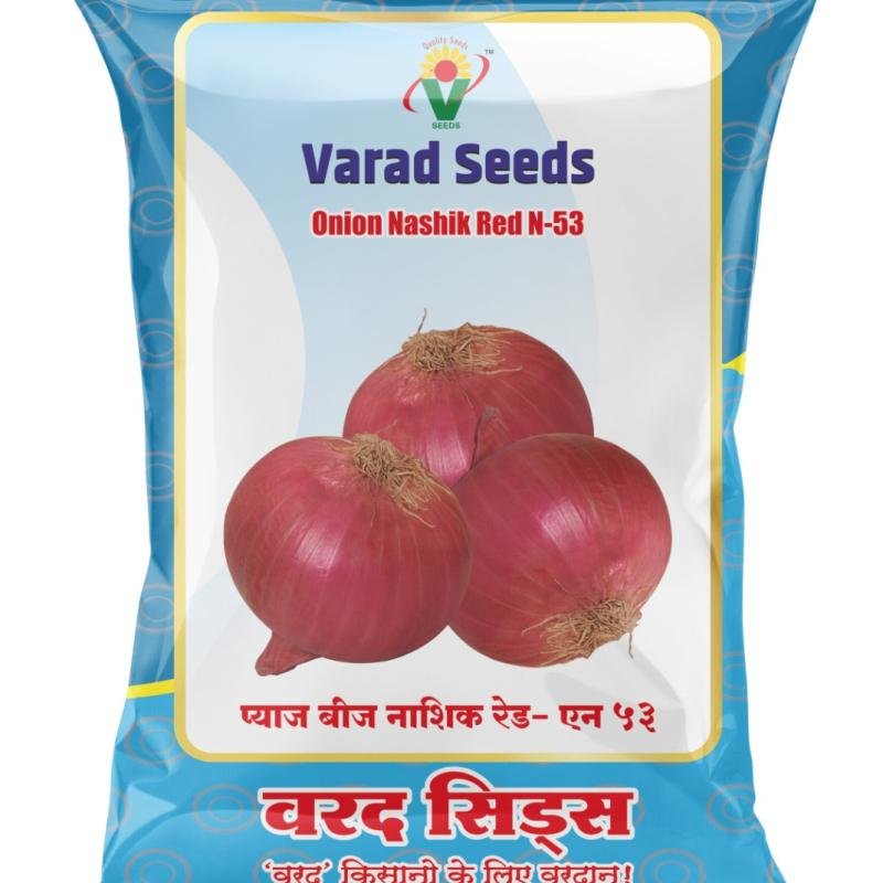 Onion Nashik Red N-53