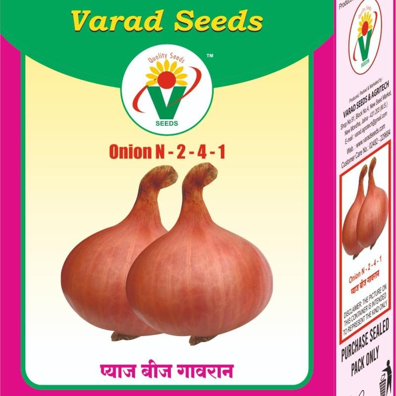 Onion N-2-4-1 (Varad Sagar)