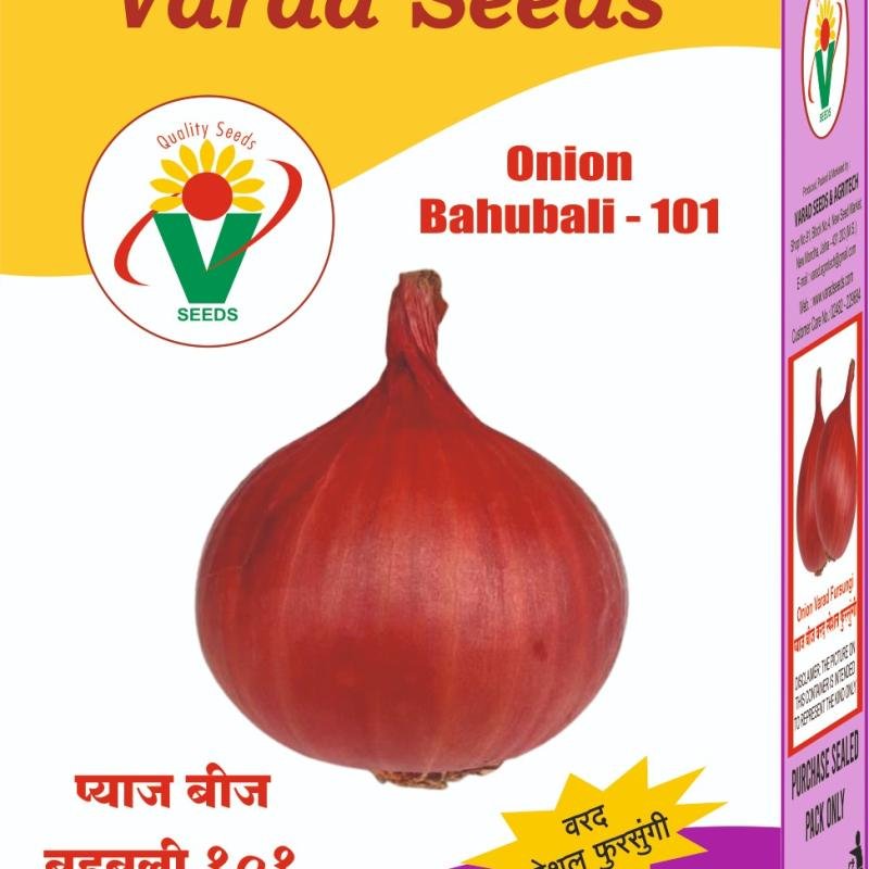 Onion Bahubali‑101
