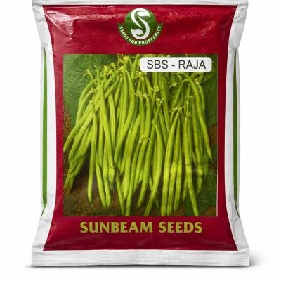 Long Bean Seeds – SBS-Raja | Sunbeam Seeds | High Yield Vegetables