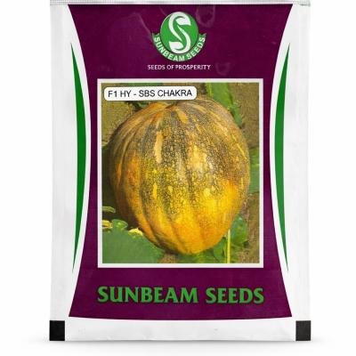 🎃 F1 Hybrid Pumpkin Seeds – SBS Chakra | Sunbeam Seeds