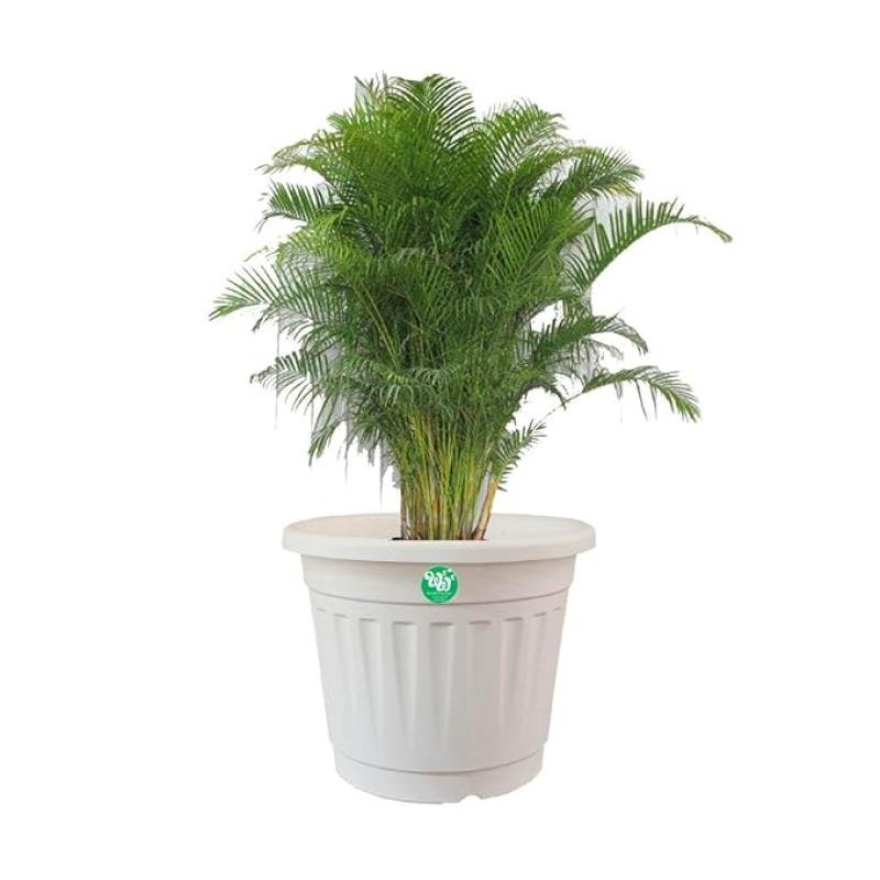 16 Inch White Durable Nursery & Garden Pot – Elegant, Heavy-Duty, UV-Resistant Planter