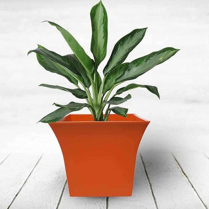 SIYOL 10-Inch Orange Plastic Square Planters