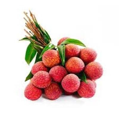 Litchi (Lychee) Fruit Plant – Juicy, Aromatic & Premium Quality Variety