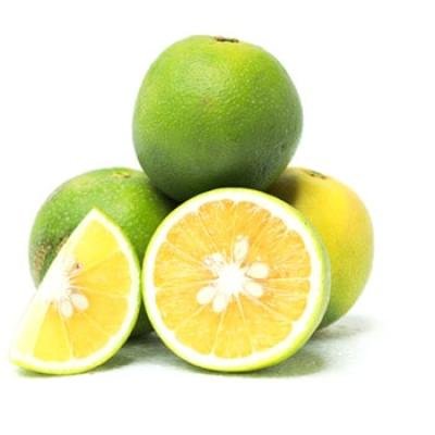 Mosambi (Sweet Lime) Fruit Plant