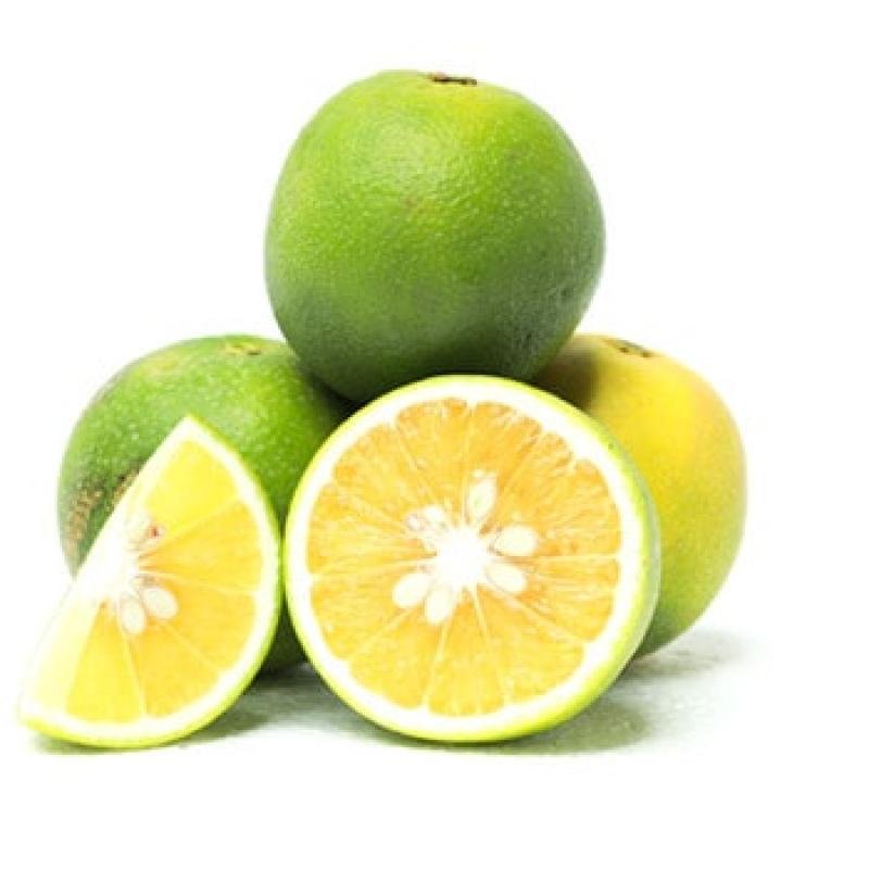 Mosambi (Sweet Lime) Fruit Plant