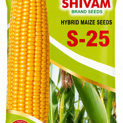 Shivam S-25 Hybrid Maize Seeds