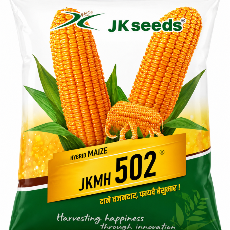 JK Seeds JKMH 502 Hybrid Maize Seeds