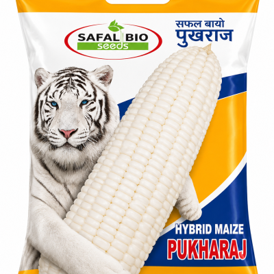 Safal 310 Pukharaj Hybrid Maize Seeds