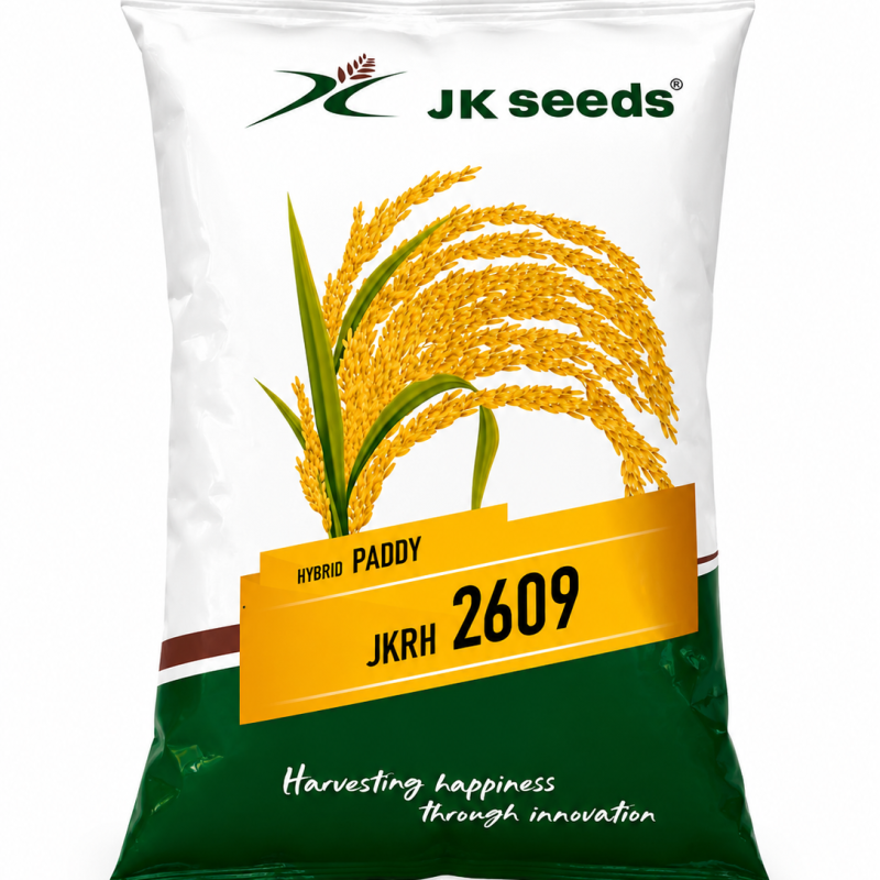 JK Seeds JKRH 2609 Hybrid Paddy Seeds