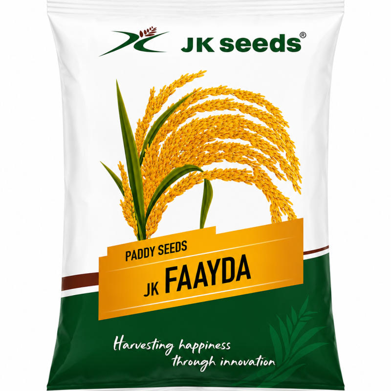 JK Seeds JK Faayda Paddy Seeds | High Performance Rice Seeds