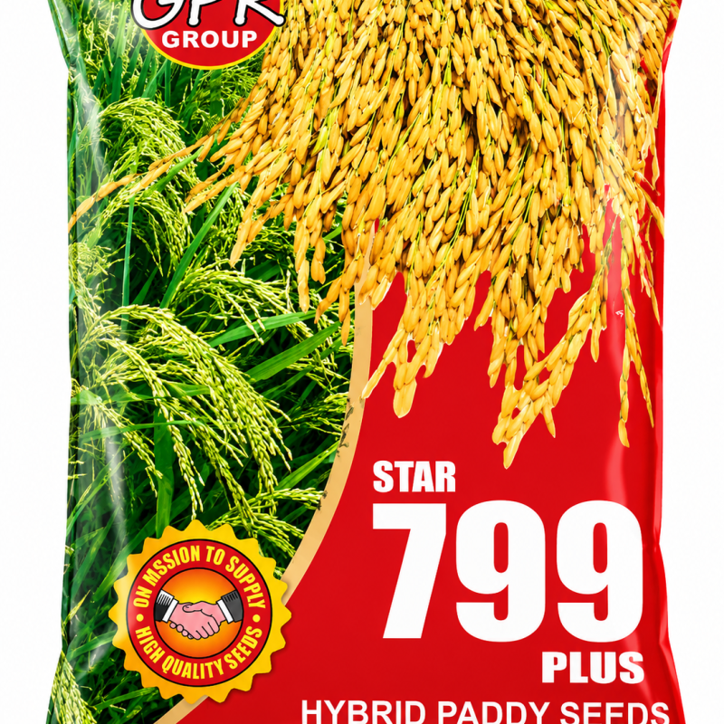 Star 799 Plus Hybrid Paddy Seeds | Premium High Yield Rice Seeds