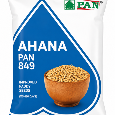 PAN Ahana 849 Improved Paddy Seeds