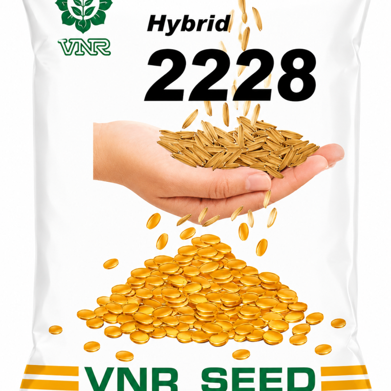 VNR Hybrid 2228 Paddy Seeds