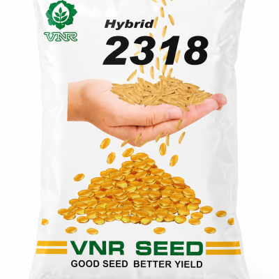 VNR Hybrid 2318 Paddy Seeds
