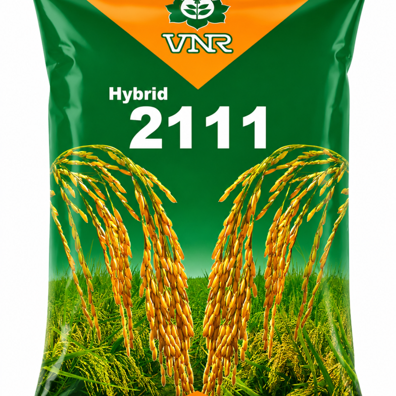 VNR Hybrid 2111 Paddy Seeds