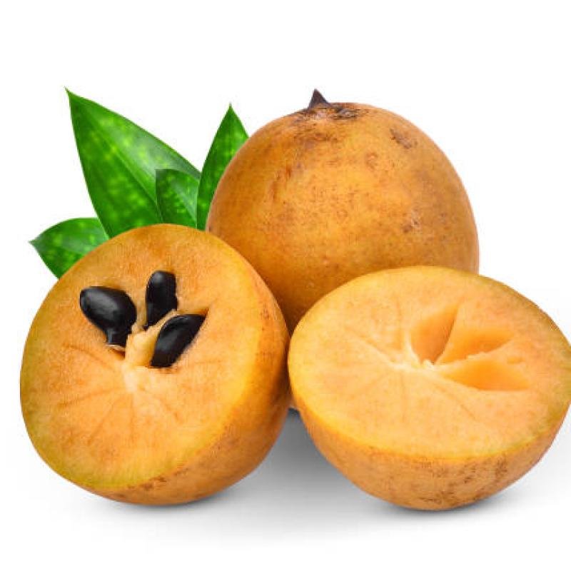 Chiku (Sapota) Fruit Plant